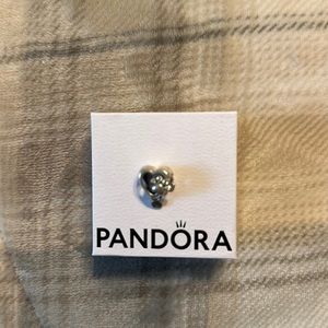 Pandora Paw Print Charm